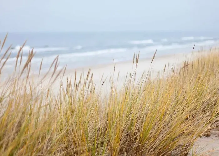 Oase An Der Ostsee Mit 2 Schlafzimmern