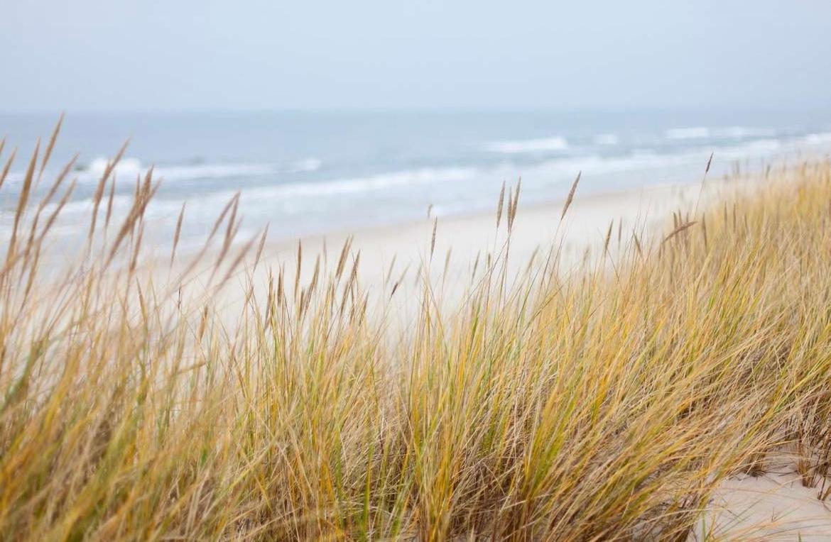 Oase An Der Ostsee Mit 2 Schlafzimmern *